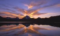 世界举重康复线上评估工具：视频测评提高诊断速度，世界举重比赛规则