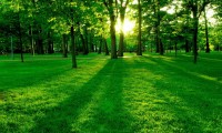 2026年世界大冬会筹备进展顺利 多项冰雪项目完成测试赛，2021世界冬季两项锦标赛