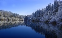 世界滑雪国际青少年节：跨国交流促进技艺提升，世界滑雪协会